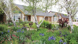 home-and-garden